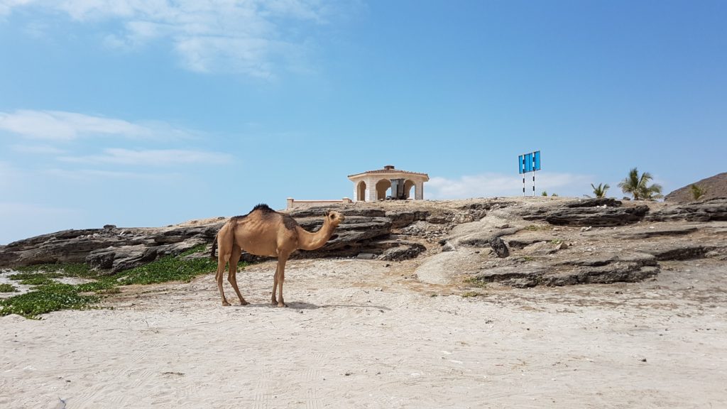 Mughsayl Beach Oman Hut