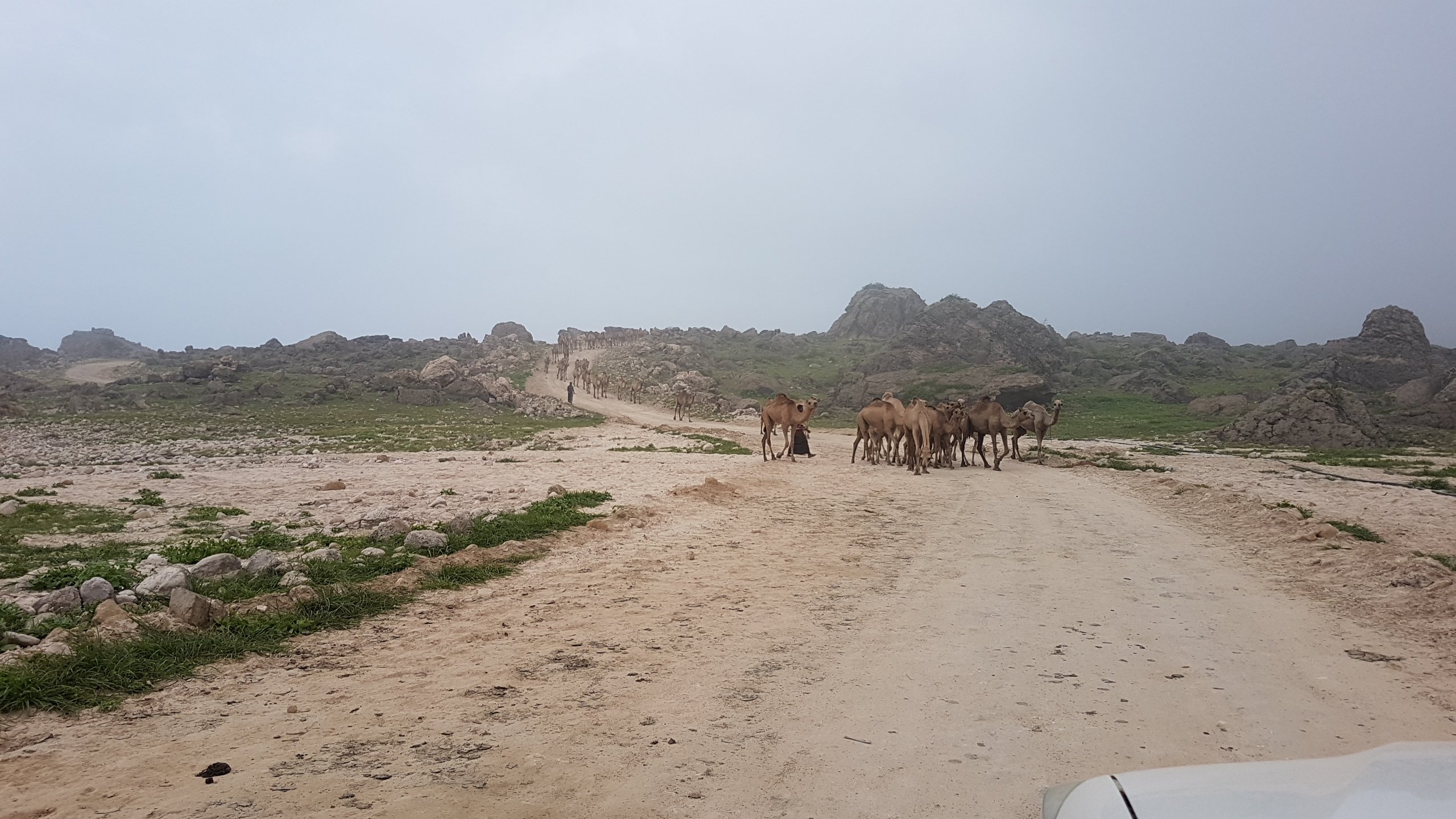 Off road Fazayah Beach Oman