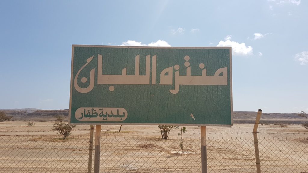 Frankincense Tree Farm Mughsayl Salalah Oman