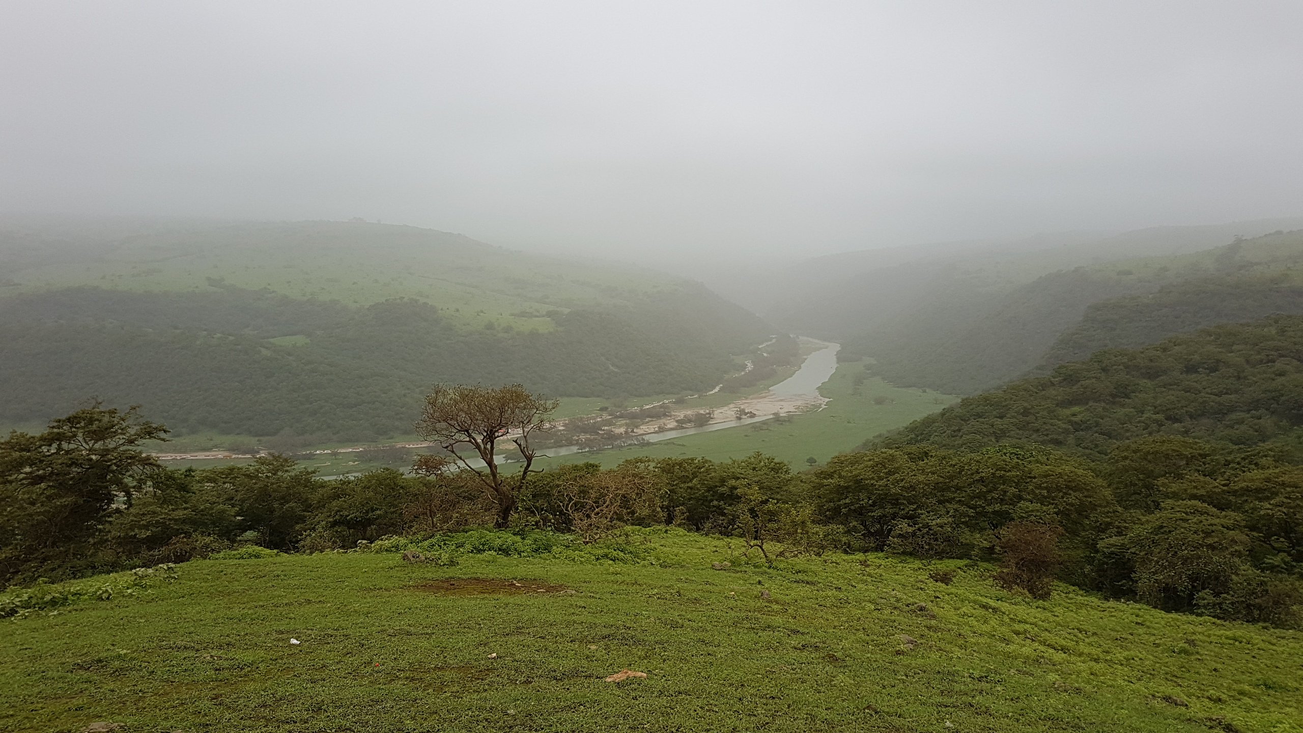 View of wadi darbat canal from view point 