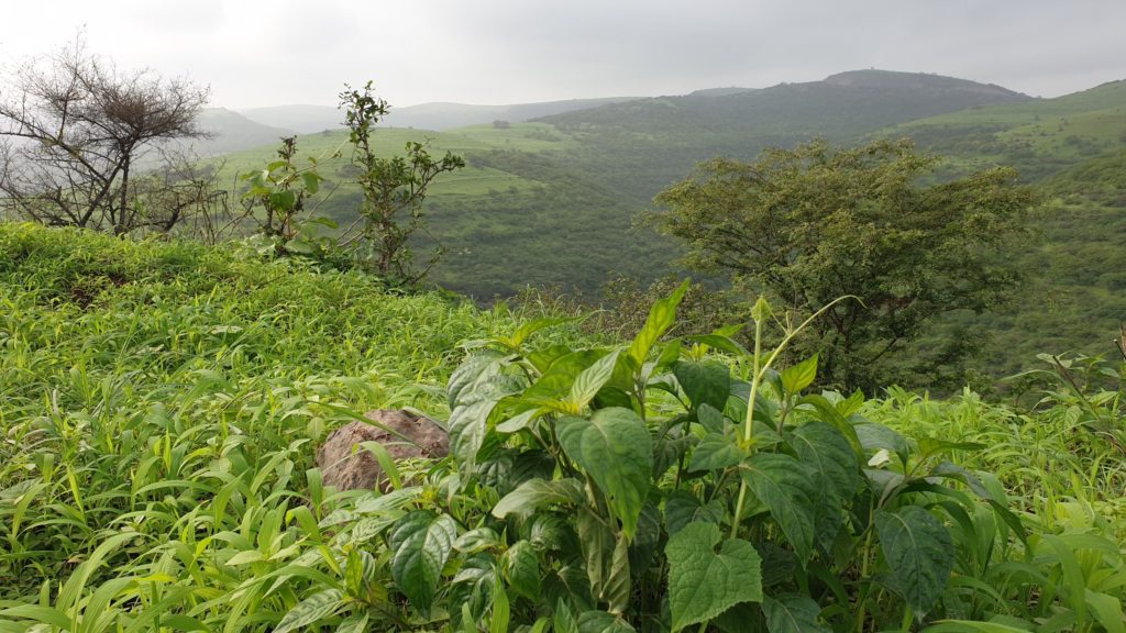 Wadi Nahiz View Point Salalah Oman