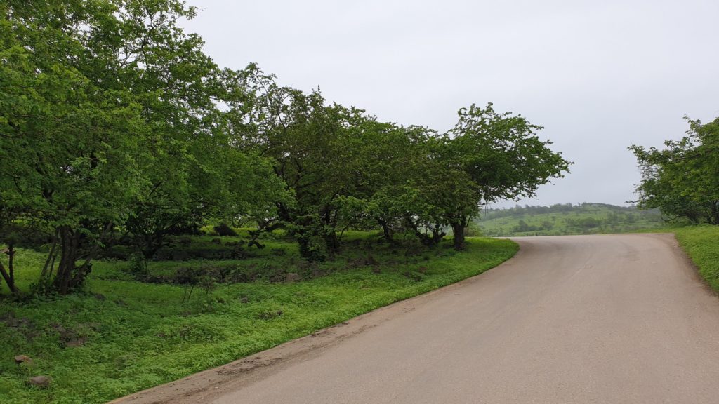 Drive to Wadi Nahiz Salalah Oman