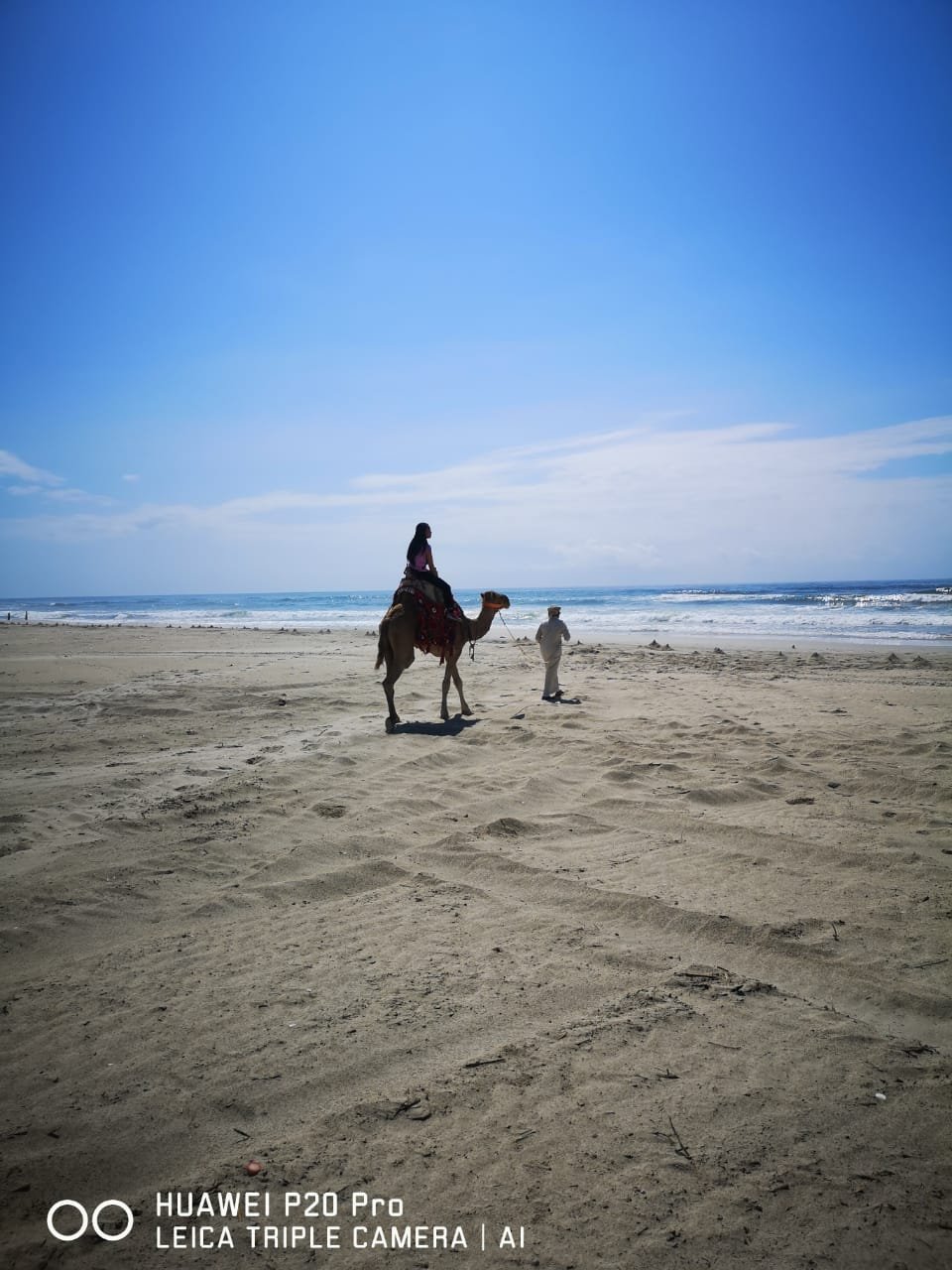 Camel riding in Salalah Oman 