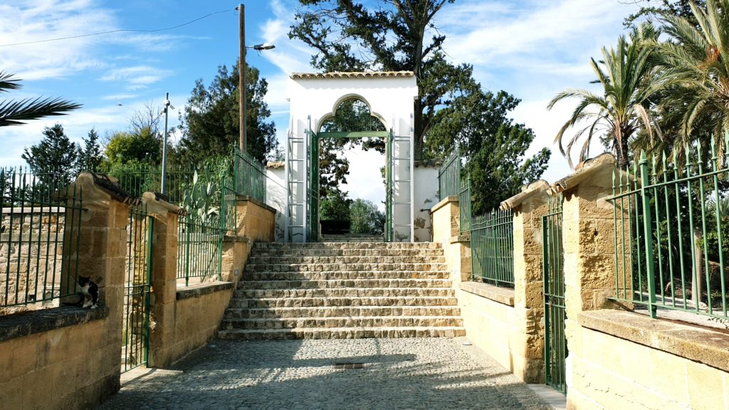 Cats in Hala Sultan Tekke